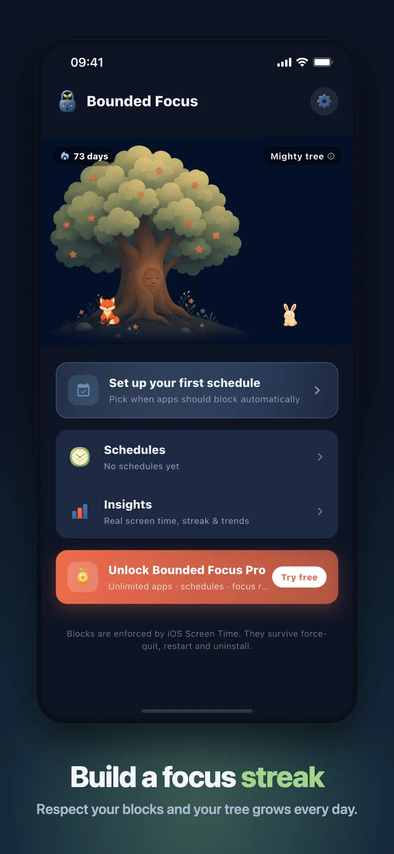 Bounded Focus screen 2